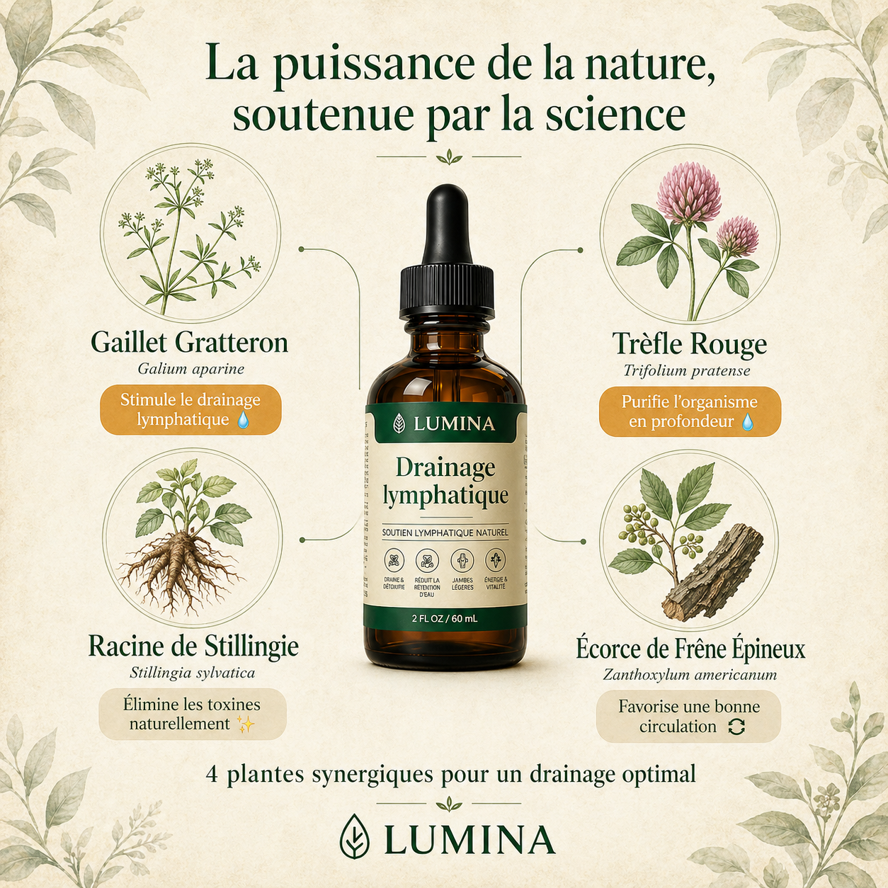 Lumina™ - Dégonflez, Détoxifiez & Revitalisez Votre Corps Naturellement